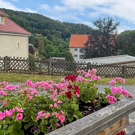Beautiful In Suedharz With Wifi Apartament *